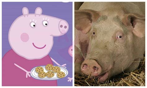 Peppa Pig in Real Life Characters – Page 2 – Before and After