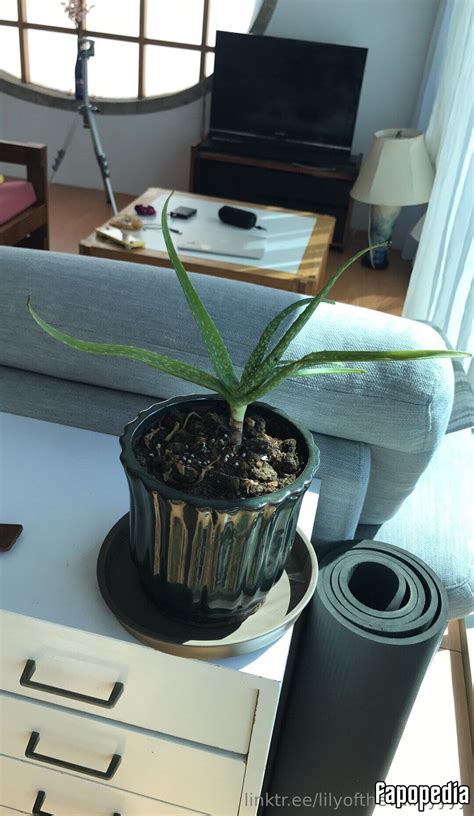 Lilyofthevalleyyyy Nude OnlyFans Leaks Photo Fapopedia