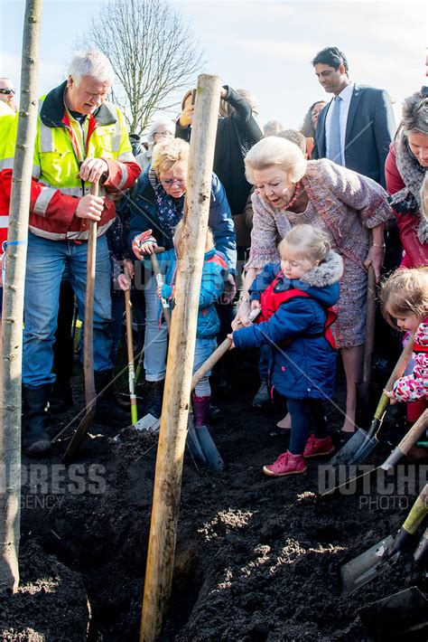 Prinses Beatrix Dsc Dutch Press Photo Agency