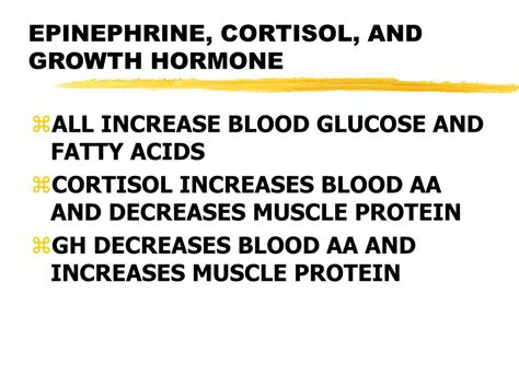 Ppt The Adrenal Gland Powerpoint Presentation Free Download Id1212986