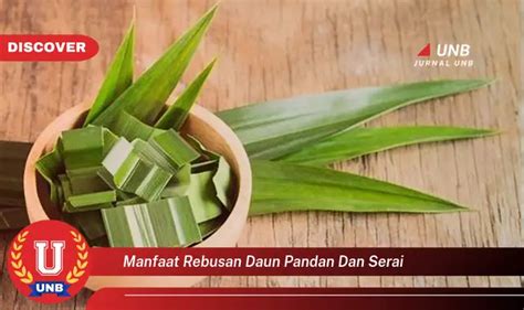 Intip 6 Manfaat Rebusan Daun Pandan Dan Serai Yang Bikin Kamu Penasaran