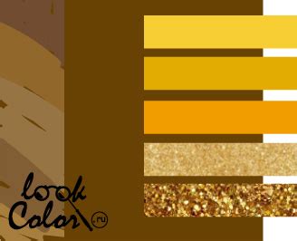 Золотисто-коричневый цвет и его сочетание | LOOKCOLOR