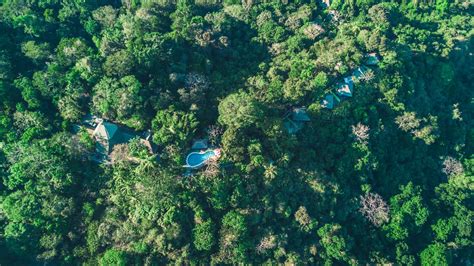 9 Best Eco Lodges In Costa Rica 2024 Guide