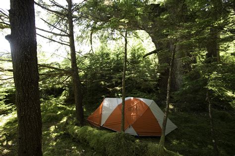 Tofino Expeditions Haida Gwaii Kayak Hot Springs To Totem Poles Accommodations