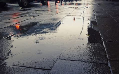 Qué es el petricor El famoso olor a lluvia