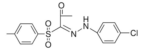 Chloro Phenyl Hydrazono Toluene Sulfonyl Propan One