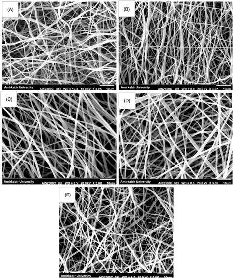 Sem Images Of The Nanofiber Scaffolds At Magnification A