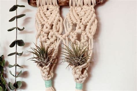 20+ Macrame Air Plant Hanger - MorinaBabatunde