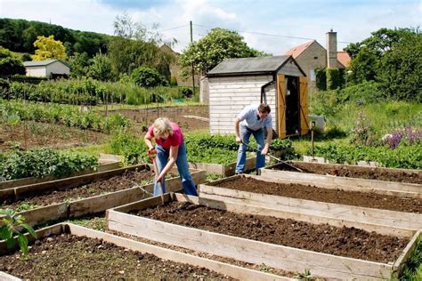 Allotments 101: A Beginners Guide to Getting and Planning an Allotment ...
