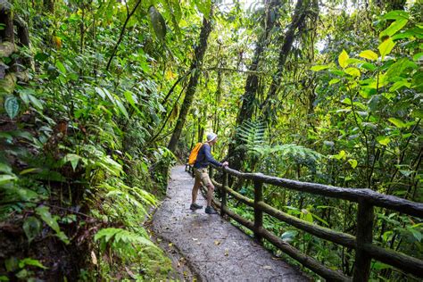 Hike in Costa Rica | Stock image | Colourbox