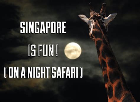 Night Safari in Singapore | TravelGeekery