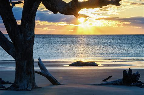 Driftwood Beach Sunrise Photograph by Andrew Wilson