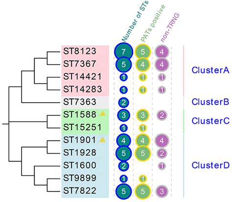 Molecular Characteristics And Pathogenicity Islands Idr