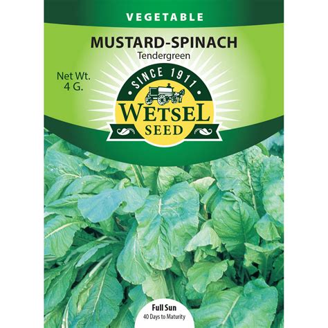 Wetsel Seed™ Tendergreen Mustard Spinach Seed Greenhouse Megastore