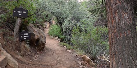 Mesa Verde Hiking & Trails Plus Info From Morefield Campground