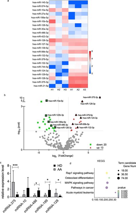 Landscape Of Mirna Expression Profiles In Aa Exos And Hd Exos A