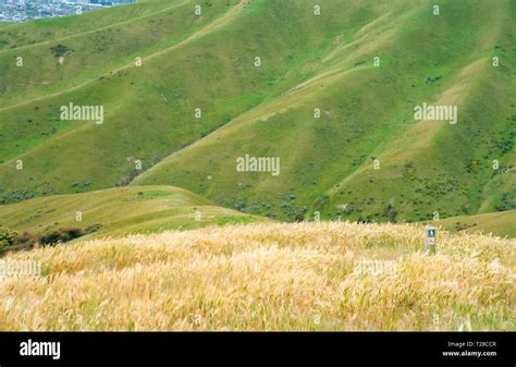 Track Marker In Scenic Wither Hills Landscapes Green Hiilside And