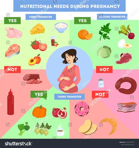Food Nutrition For Pregnant Women Vegan Nutrition & Pregnancy: What
