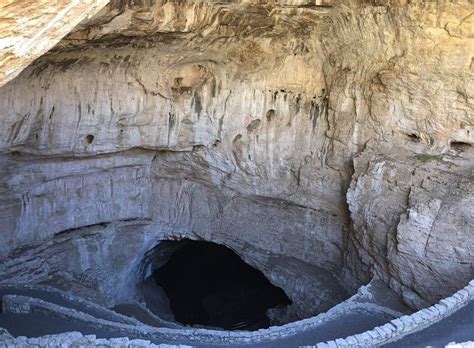 Are Dogs Allowed Carlsbad Caverns National Park New Mexico