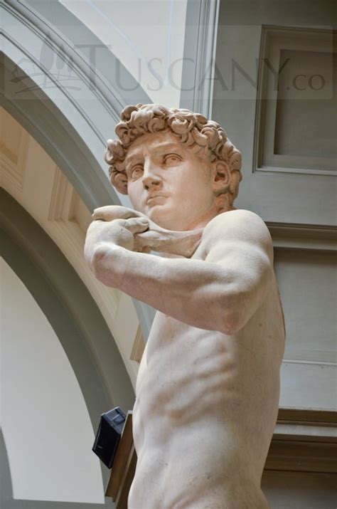 David di Michelangelo - Michelangelo Buonarroti’s David - Florence Tuscany