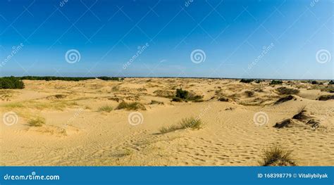 Panoramic View of Oleshky Sands Stock Image - Image of landscape, dune ...