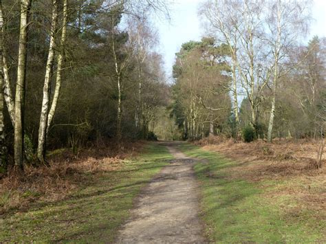 Bridleway Shere Robin Webster Geograph Britain And Ireland