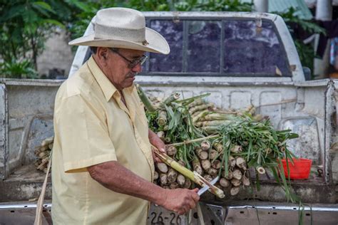 Impulsa Sader Apoyo A Productores Afectados Por Inundaciones En Tabasco