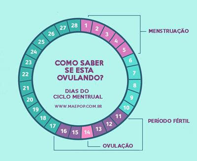 Quando A Ovulação Ocorre - Ovulação: sintomas, como calcular e como acontece · Sue Maistro - Mãe Pop