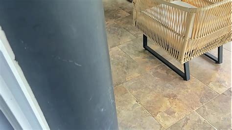 Ebony Exhibitionist Videos XVIDEOS