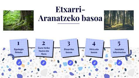 Etxarri Aranatzeko Basoa