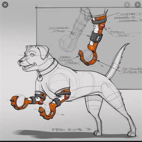 Prosthetic Front Leg For Dog Or Cat 3d Model 3d Printable Cgtrader