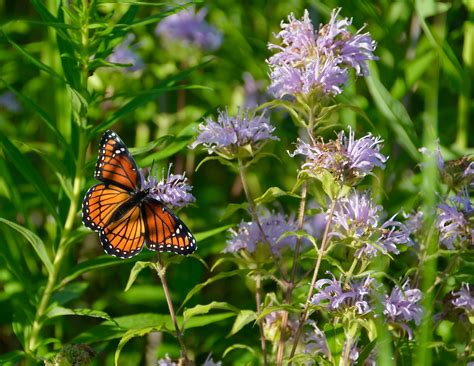 Marnocha Funeral Home - Home | Facebook