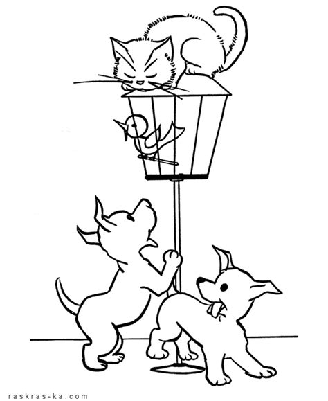 милые раскраски с кошечками и котятами для детей и взрослых