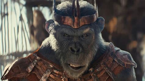 Planeta dos Macacos Novo filme é CONFIRMADO e ganha previsão de