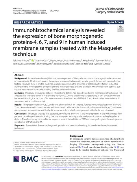 Pdf Immunohistochemical Analysis Revealed The Expression Of Bone