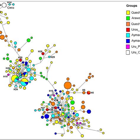 Median Joining Network Of Mtdna Control Region Haplotypes Found In 22