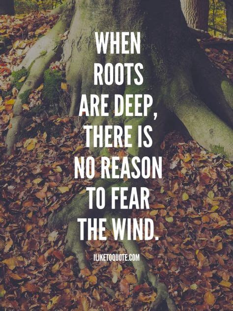 When Roots Are Deep There Is No Reason To Fear The Wind Roots Quotes Quotes Deep Meaningful