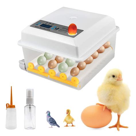 Buy Egg Incubator SEAAN Automatic Egg Incubator For 16 Eggs Small