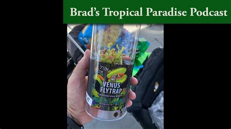 Brad S Tropical Paradise Podcast Planting A Venus Fly Trap