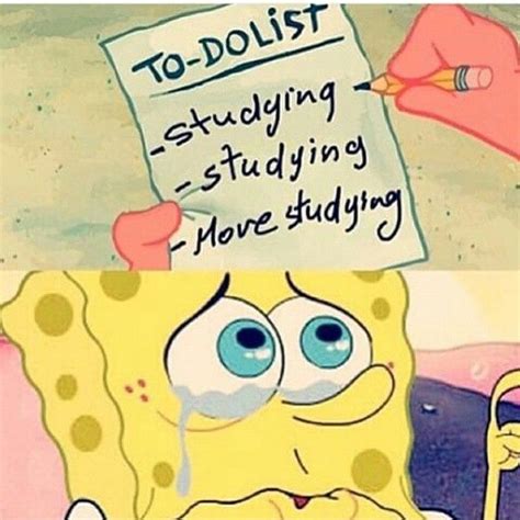 Spongebob Studying Meme