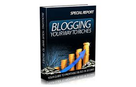 Blogging Your Way To Success Plr Database