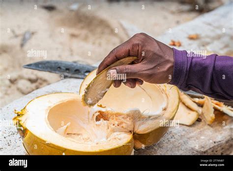 Local Man Eating A Fresh Coconut On Batu Hatrim Raja Ampat Indonesia