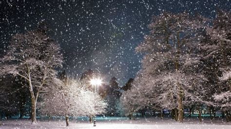 Winter Wallpaper: Snowy Night in the Park