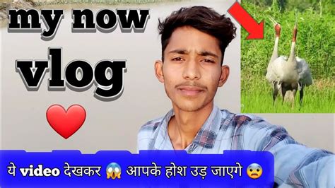 My First Vlog Ll My First Video On Youtube Ll 1000subscribe 🙏🙏 Plz