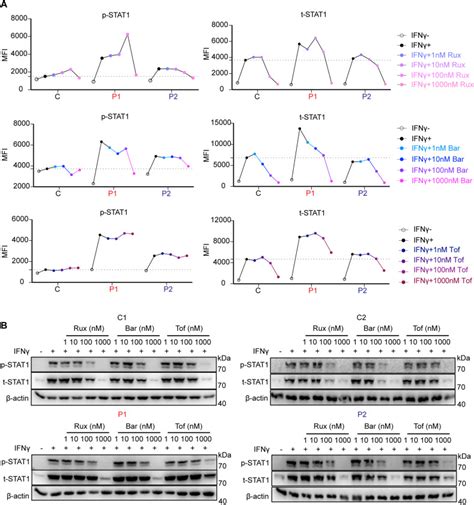 Recapitulating Primary Immunodeficiencies With Expanded Potential Stem