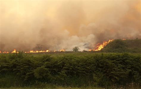 Canicule En Bretagne Plus De 1 700 Hectares Brûlés Et Des Personnes