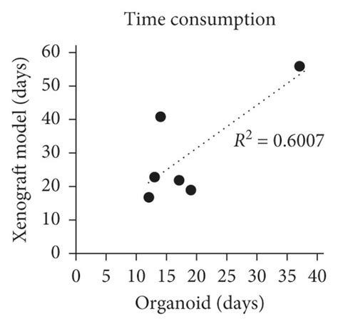 Cancer Patient Derived Organoid And Organoid Derived Xenograft Model