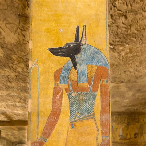 Fotografii De Stoc Fotografii și Imagini Scutite De Redevențe Cu Anubis Fotografii Istock