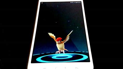 Pokemon Go Evoluçao Do Pidgey To Pidgeotto Youtube