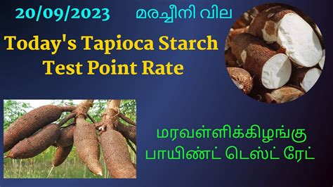 Tapioca Starch Test Point Rate Registers Modest